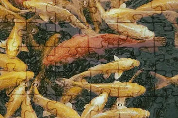 Toy jigsaw puzzle