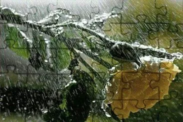 lluvia jigsaw puzzle