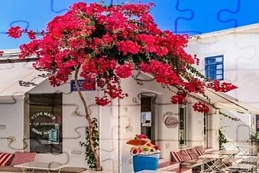 Terraza-buganvilla