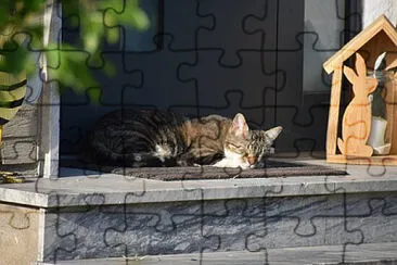 Toy jigsaw puzzle