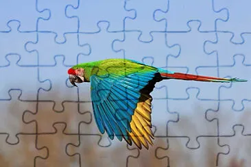  jigsaw puzzle
