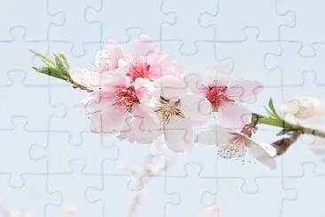 OK jigsaw puzzle