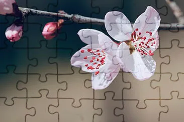 OK jigsaw puzzle