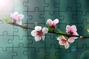 OK jigsaw puzzle