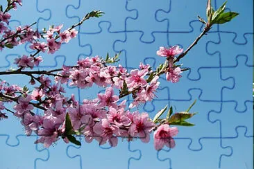 OK jigsaw puzzle