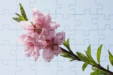 OK jigsaw puzzle