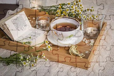 Toy jigsaw puzzle
