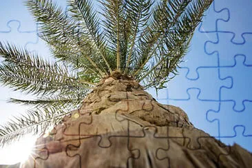 פאזל של Toy