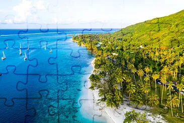 Toy jigsaw puzzle