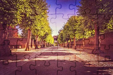 Toy jigsaw puzzle
