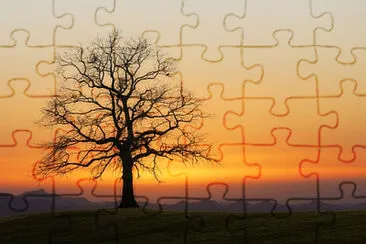 Toy jigsaw puzzle
