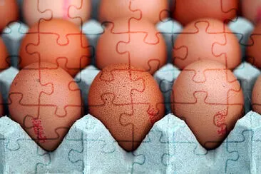 Toy jigsaw puzzle