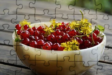 Toy jigsaw puzzle