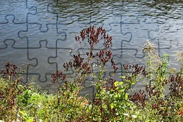 Toy jigsaw puzzle