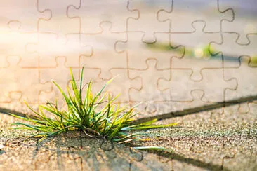 Toy jigsaw puzzle