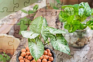 Toy jigsaw puzzle