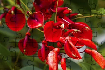 Toy jigsaw puzzle