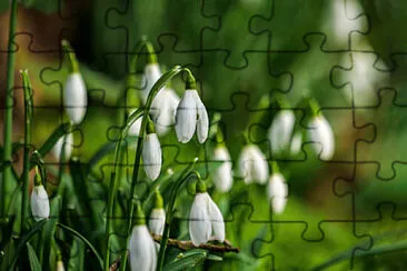 Toy jigsaw puzzle