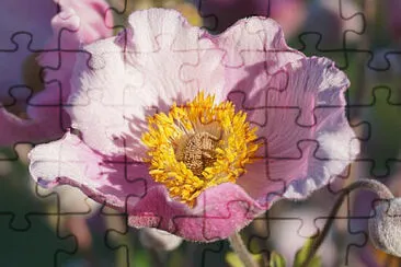  jigsaw puzzle