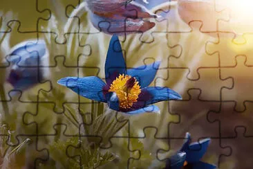 Toy jigsaw puzzle
