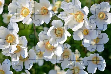 Toy jigsaw puzzle