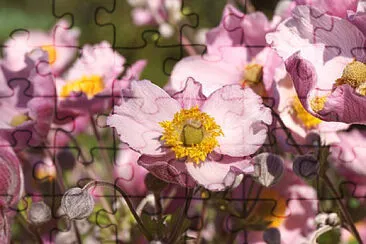 Toy jigsaw puzzle
