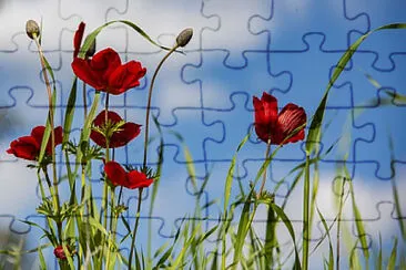 Toy jigsaw puzzle