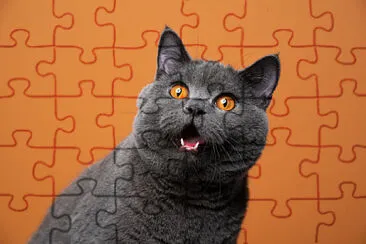 Toy jigsaw puzzle