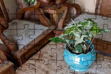 Toy jigsaw puzzle