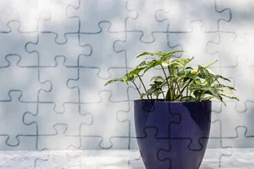 Toy jigsaw puzzle