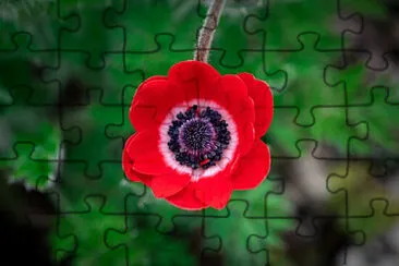 Toy jigsaw puzzle