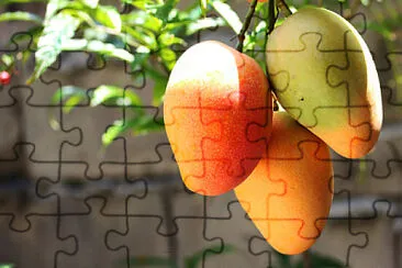 Toy jigsaw puzzle