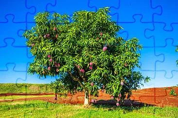 Toy jigsaw puzzle