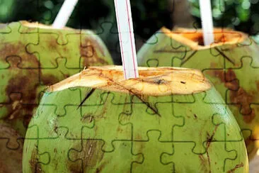 Toy jigsaw puzzle