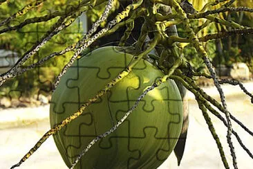 Toy jigsaw puzzle