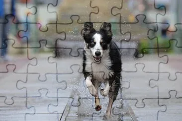 Toy jigsaw puzzle
