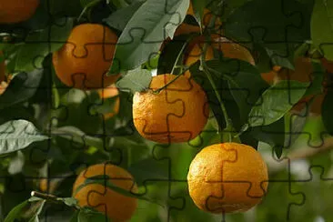 Toy jigsaw puzzle