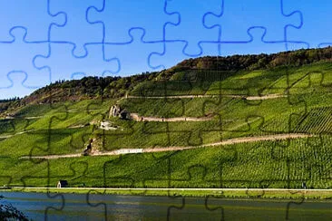 Toy jigsaw puzzle