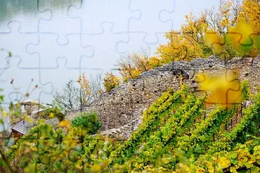 Toy jigsaw puzzle