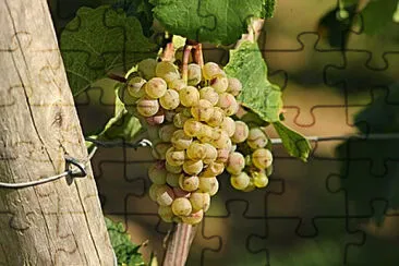 Toy jigsaw puzzle