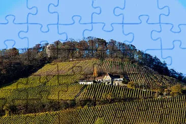 Toy jigsaw puzzle