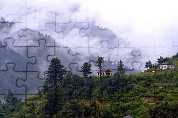 Toy jigsaw puzzle