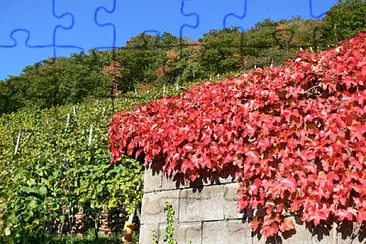 Toy jigsaw puzzle