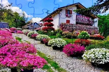 438.- CASA FLORIDAS jigsaw puzzle