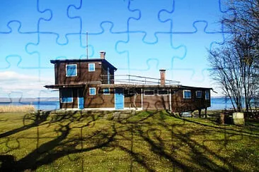 Toy jigsaw puzzle
