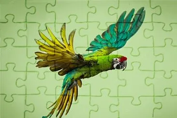 Foto jigsaw puzzle