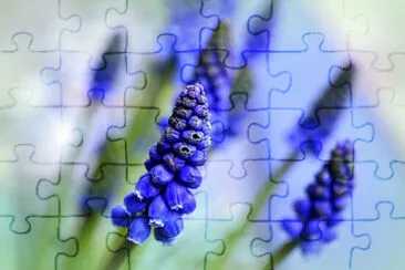 OK jigsaw puzzle