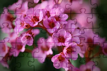 OK jigsaw puzzle
