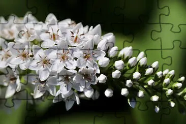 OK jigsaw puzzle