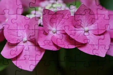 OK jigsaw puzzle